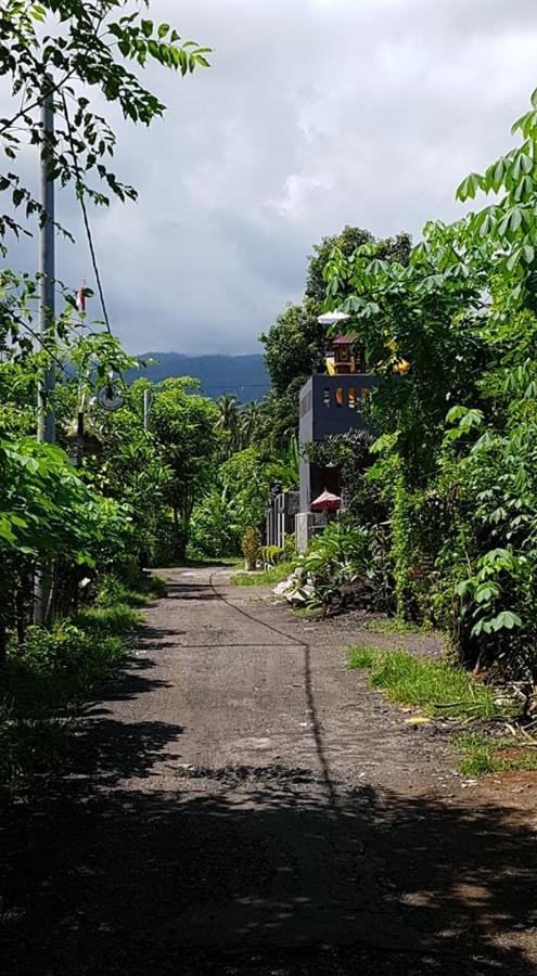 Mias Jungle House 호텔 러비나 외부 사진
