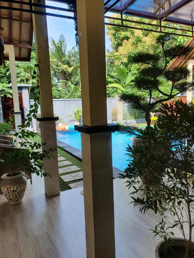 Mias Jungle House 호텔 러비나 외부 사진
