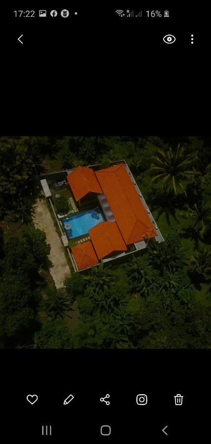 Mias Jungle House 호텔 러비나 외부 사진